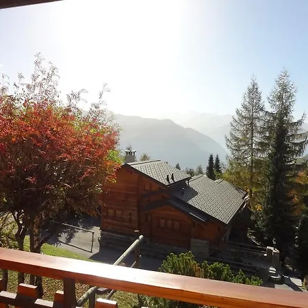 Renoir 113 Verbier